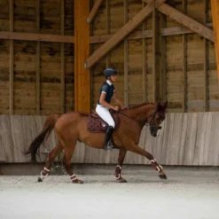 Shop Horze Graz Fetlock Boots In Rum & Raisin For Horses 19 Shop Horze Graz Fetlock Boots In Rum & Raisin For Horses -HorseMate Shop 1 Horse T Horze Graz Fetlock Boots Rum Raisin 8