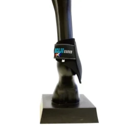 Equiguard Fetlock Hind Boots Black -HorseMate Shop Equiguard Fetlock Hind Boots Black 3