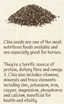 Horse Treat Equine Pure Delights Apple Cinnamon Molasses 13 Horse Treat Equine Pure Delights Apple Cinnamon Molasses -HorseMate Shop Equine Pure Delights Treat Apple Cinnamon Molasses 6