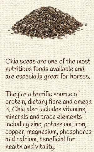 Horse Treat Equine Pure Delights Apple Cinnamon Molasses 6 Horse Treat Equine Pure Delights Apple Cinnamon Molasses - Image 6