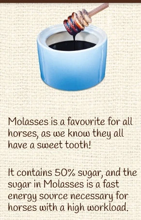 Horse Treat Equine Pure Delights Apple Cinnamon Molasses 8 Horse Treat Equine Pure Delights Apple Cinnamon Molasses - Image 8
