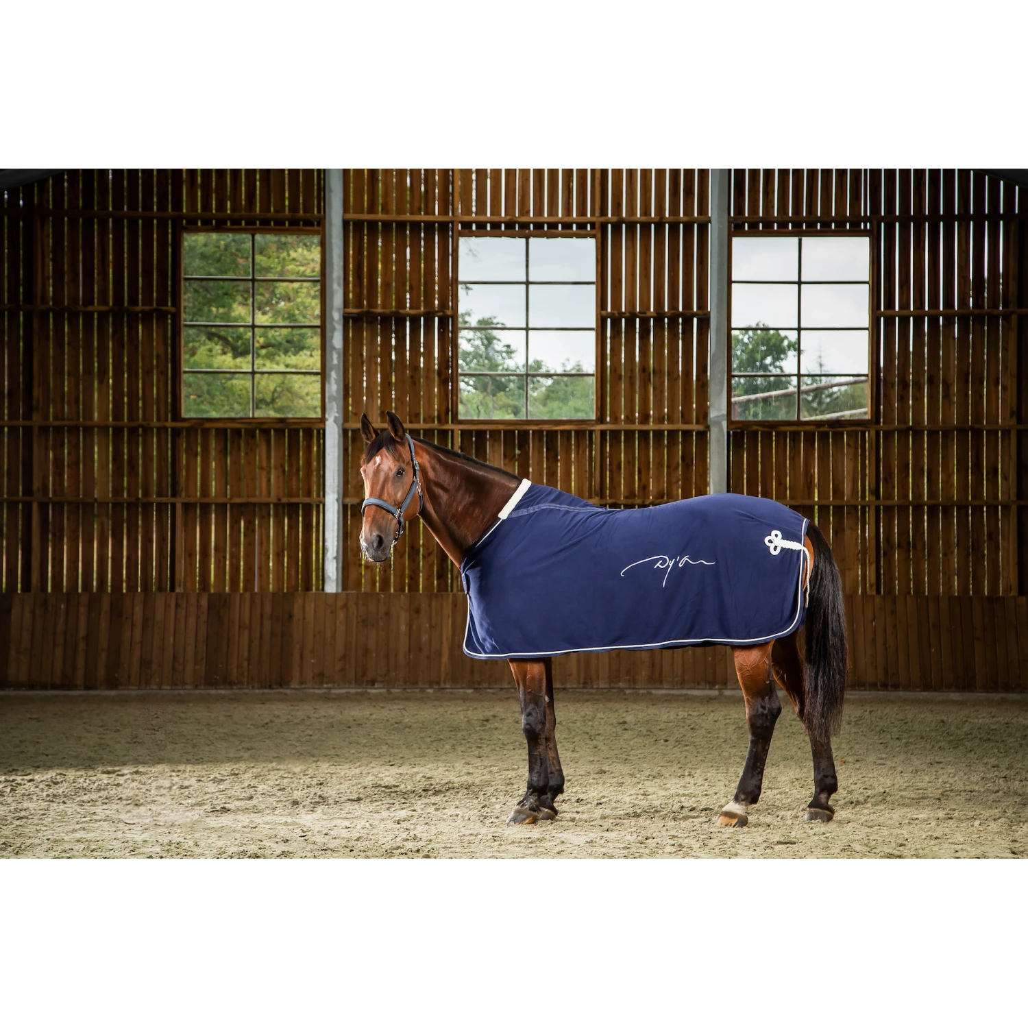 Front Page -HorseMate Shop HO21HNA 2 af29039c f514 47b7 9ada 91d005d45bc9