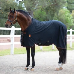 Rambo Ionic Stable Sheet