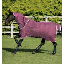 Lightweight Rhino Plus Turnout Rug