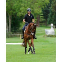 Kentucky Turnout Sheepskin Solimbra Hind -HorseMate Shop kentucky turnout sheepskin solimbra hind dapple eq 3