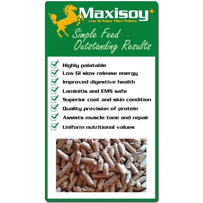 Maxisoy+ 2 Maxisoy+ - Image 2