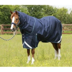 Navy PEI Titan 200g Turnout Rug With Detachable Neck - High-Quality Equestrian Product 1 Navy PEI Titan 200g Turnout Rug With Detachable Neck - High-Quality Equestrian Product