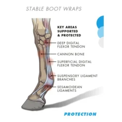 Premier Equine Stable Boot Wraps -HorseMate Shop premier equine stable boot wraps southern sport horses 3