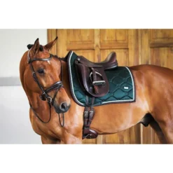 PSOS Dressage Saddle Pad Emerald - "Dreams Do Come True" 5 PSOS Dressage Saddle Pad Emerald - "Dreams Do Come True" -HorseMate Shop psos dressage saddle pad emerald dreams do come true vivarchie equestrian 3