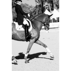 Shop Flexible Filly Splint Boots - Premium Quality Equine Protection -HorseMate Shop shop flexible filly splint boots premium quality equine protection thinline global australia 4 c4aee822 e79d 4a9d a4d6 2513f352aa7d