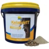 Shop Kelato's High-Quality Equine Supplement - Kelatovit Powder