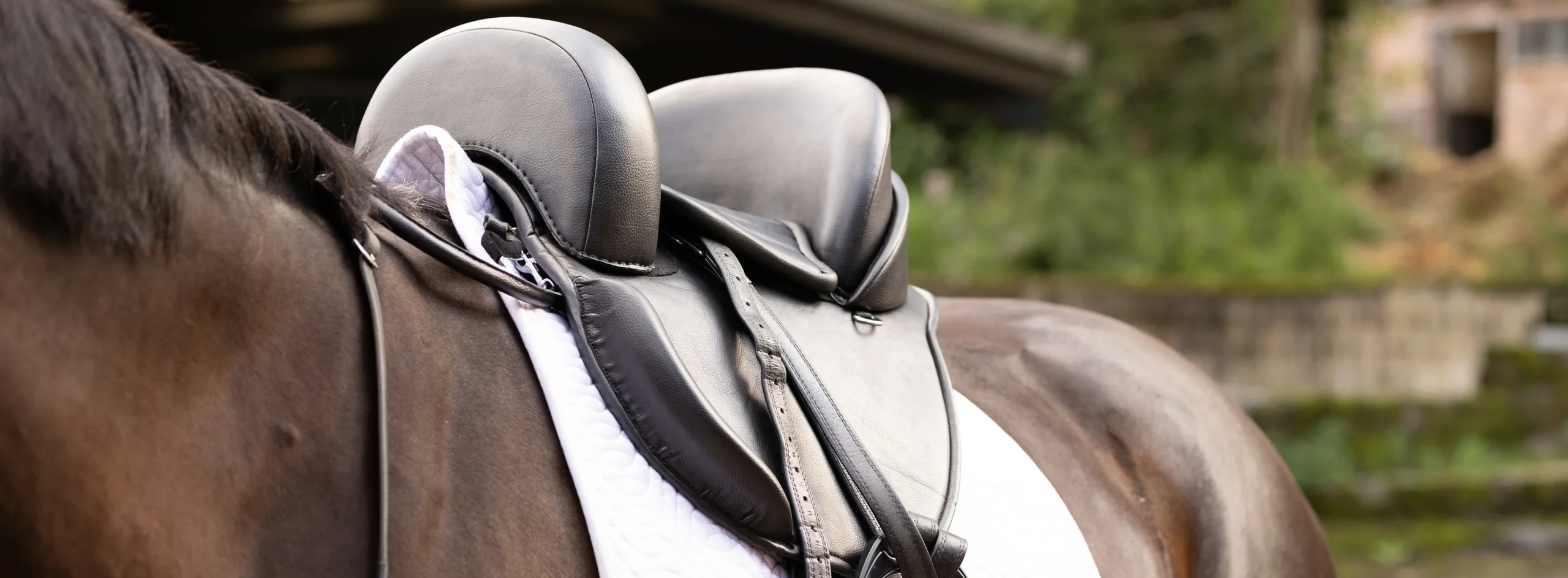 Front Page -HorseMate Shop banner957 scaled