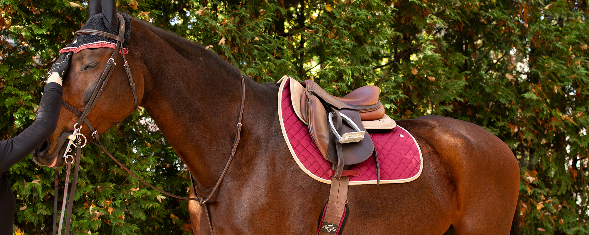 Front Page -HorseMate Shop banner958